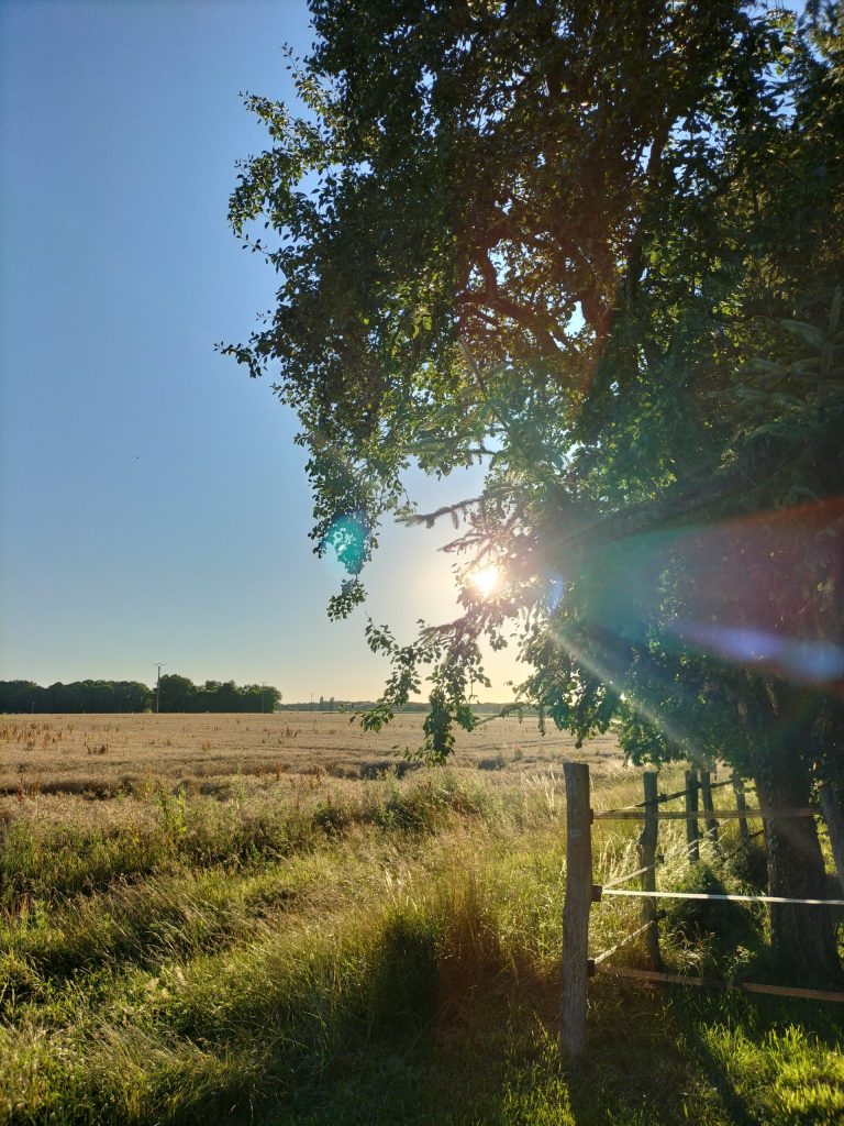 nature-bien-etre-89