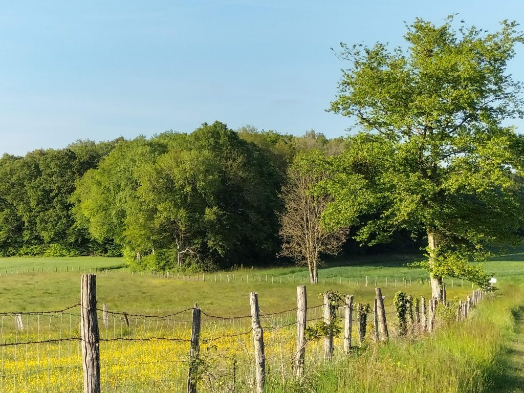 Les environs à proximité des Elfes de la Guette